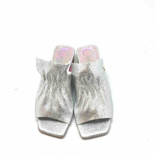 Fizzy-Silver slide - Chanii B