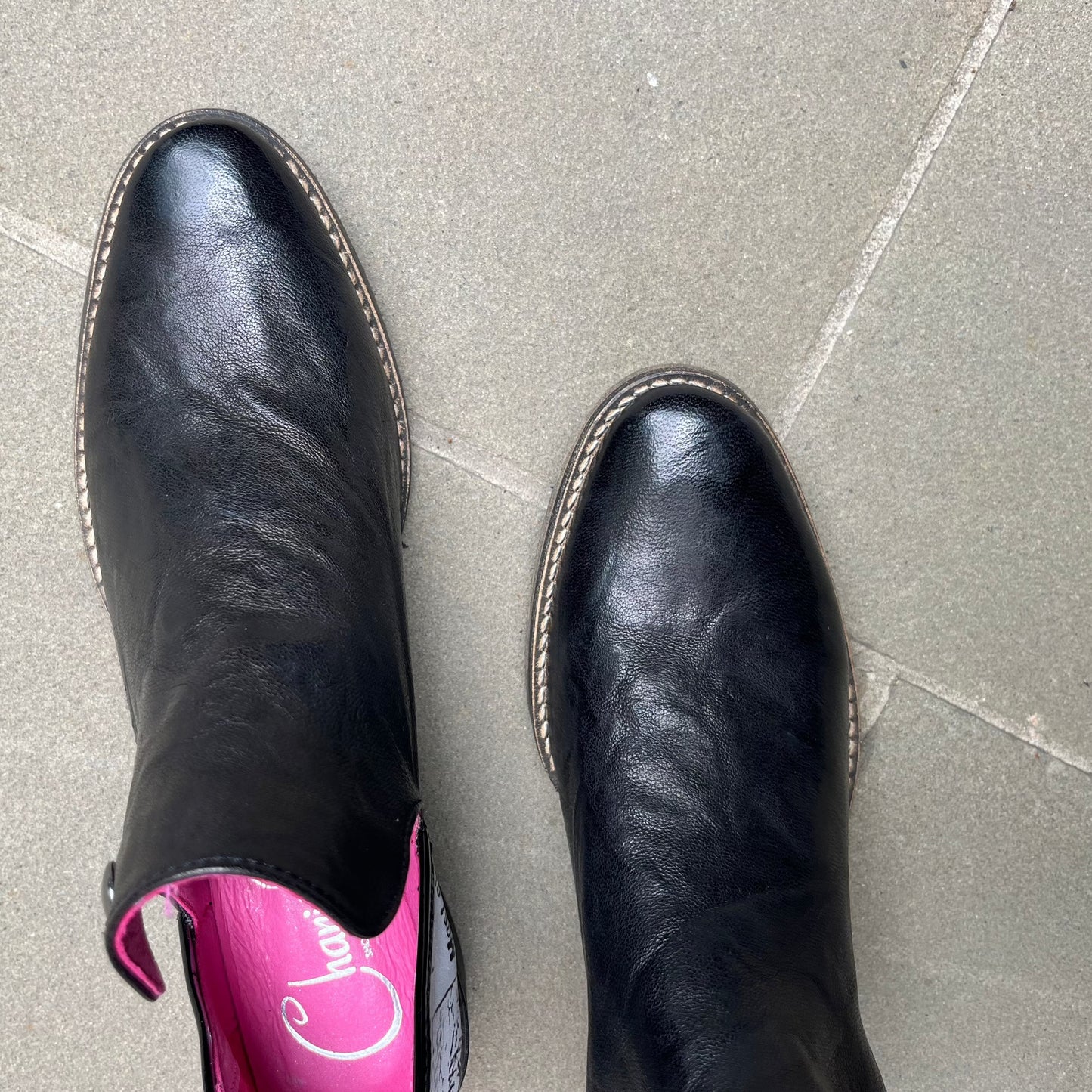 Zippette -NEW Black with white newspaper - Chanii B