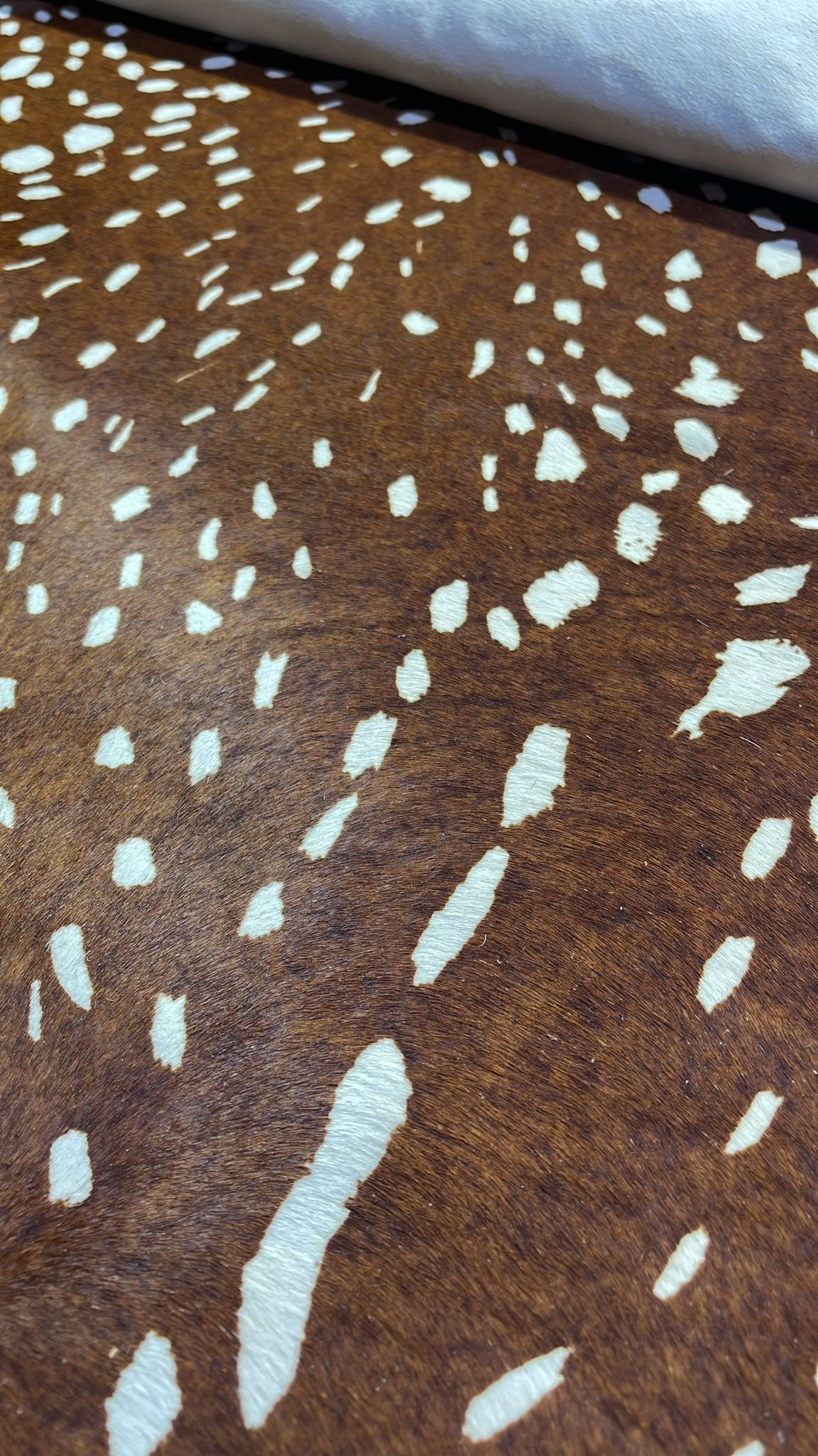 Skate -Tan Deer print- Pre order