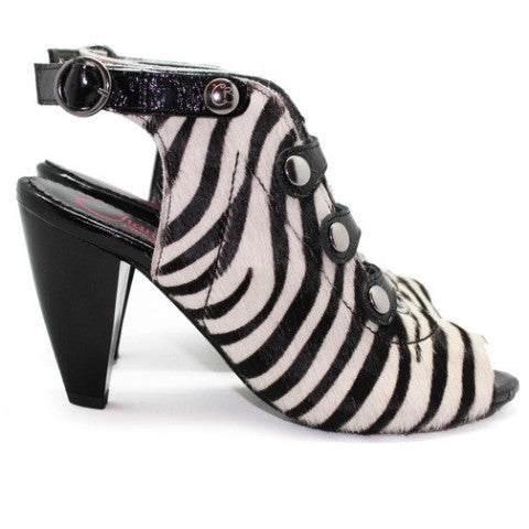 Honey - Zebra Pony - Chanii B