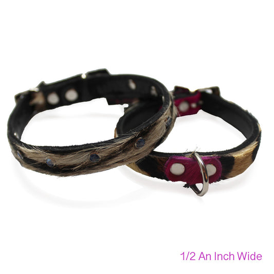 Small Pet Collar - Chanii B