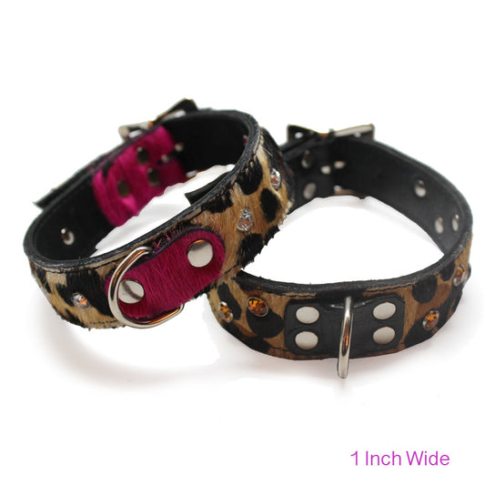 Large Pet Collar - Chanii B