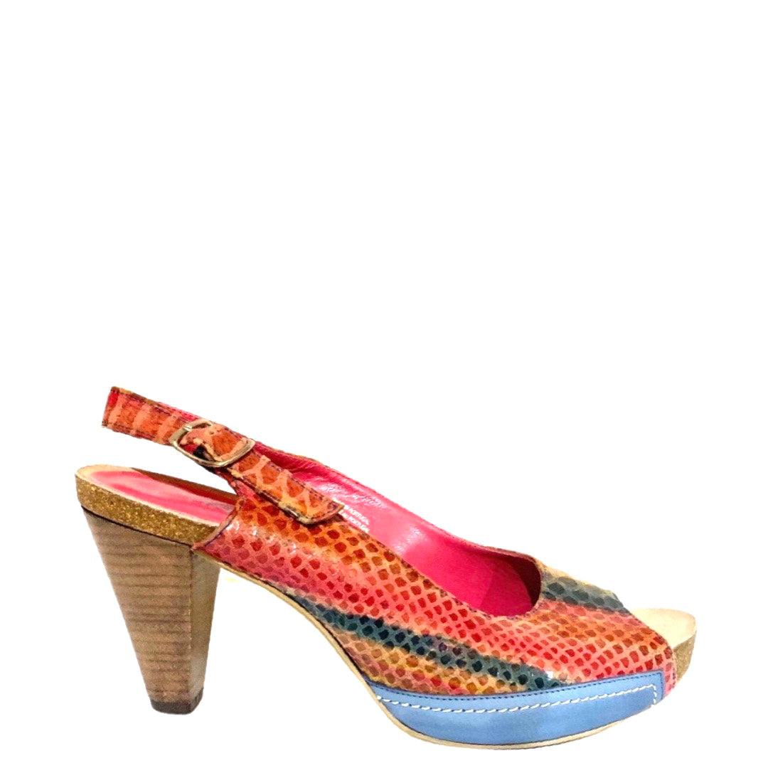 Julip rainbow snake- Last pair 37! - Chanii B