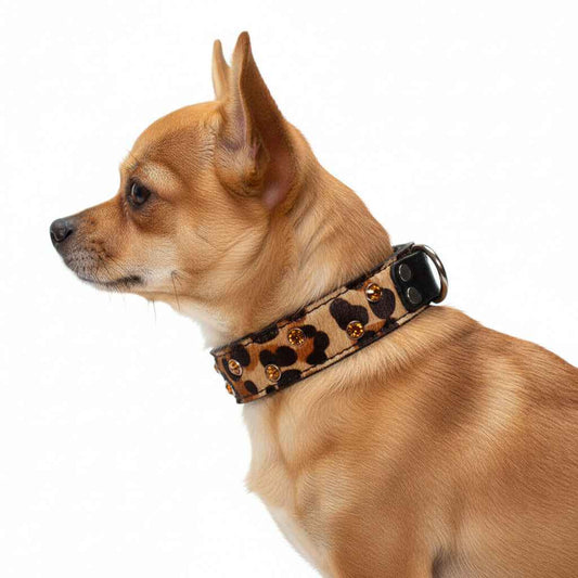 Medium leopard Pet Collar