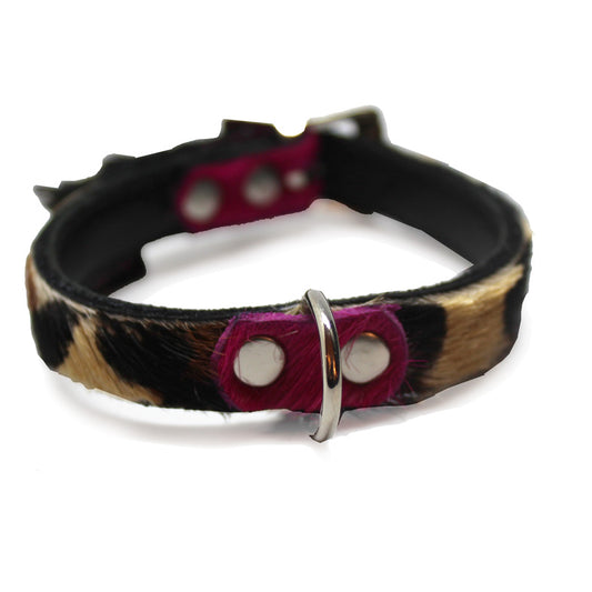 Small Pet Collar - Chanii B