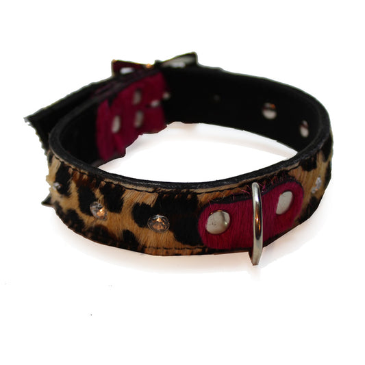 Large Pet Collar - Chanii B