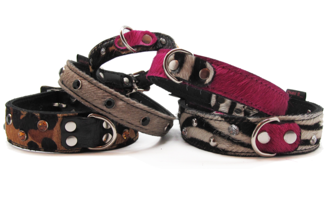 Medium Pet Collar - Chanii B