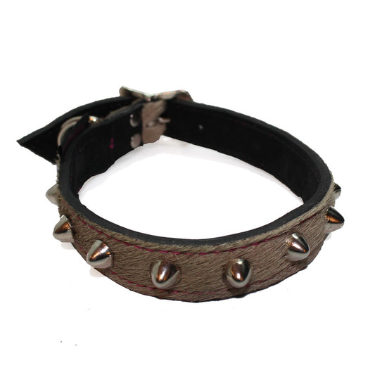 Medium Pet Collar - Chanii B
