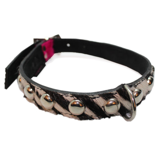Medium Pet Collar - Chanii B