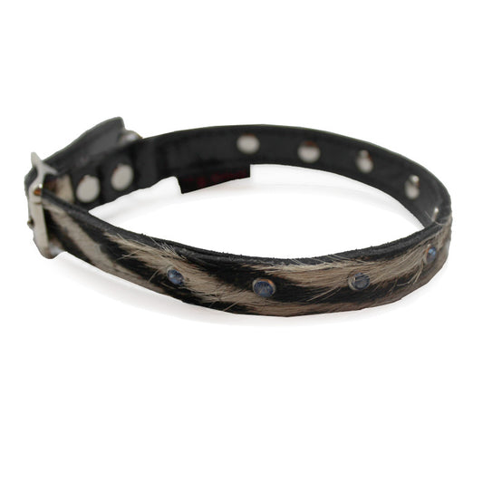 Small Pet Collar - Chanii B
