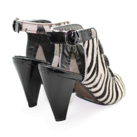 Honey - Zebra Pony - Chanii B