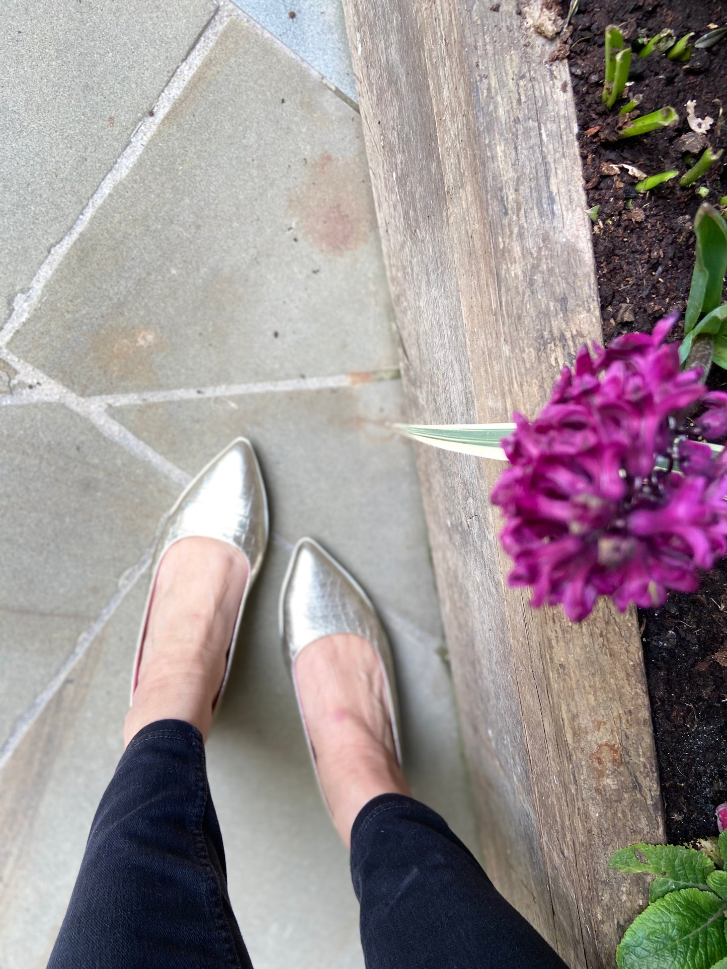 Pierre-Champagne Croc flat shoe - Chanii B