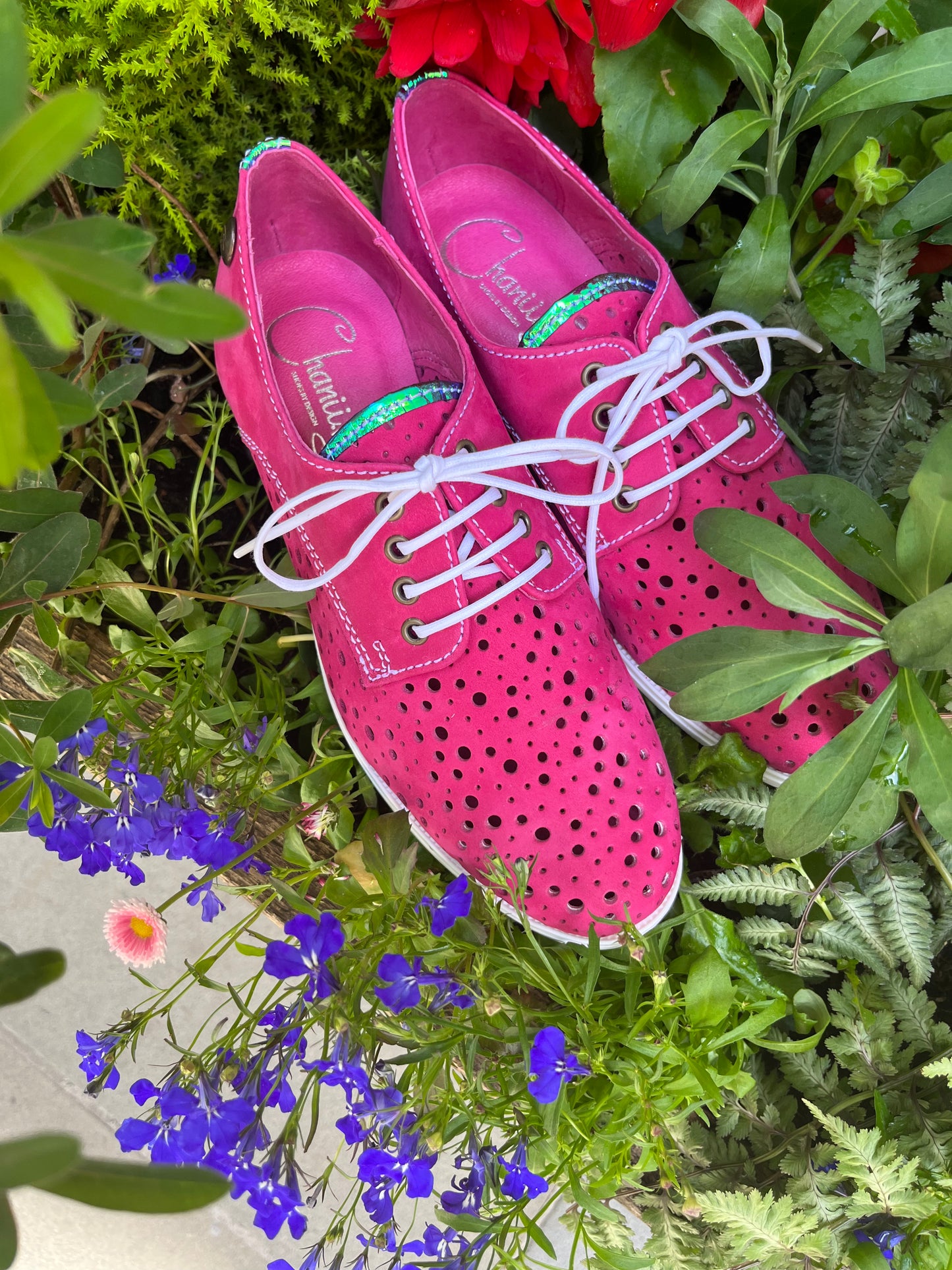 Cordon - Fuchsia lace up shoe