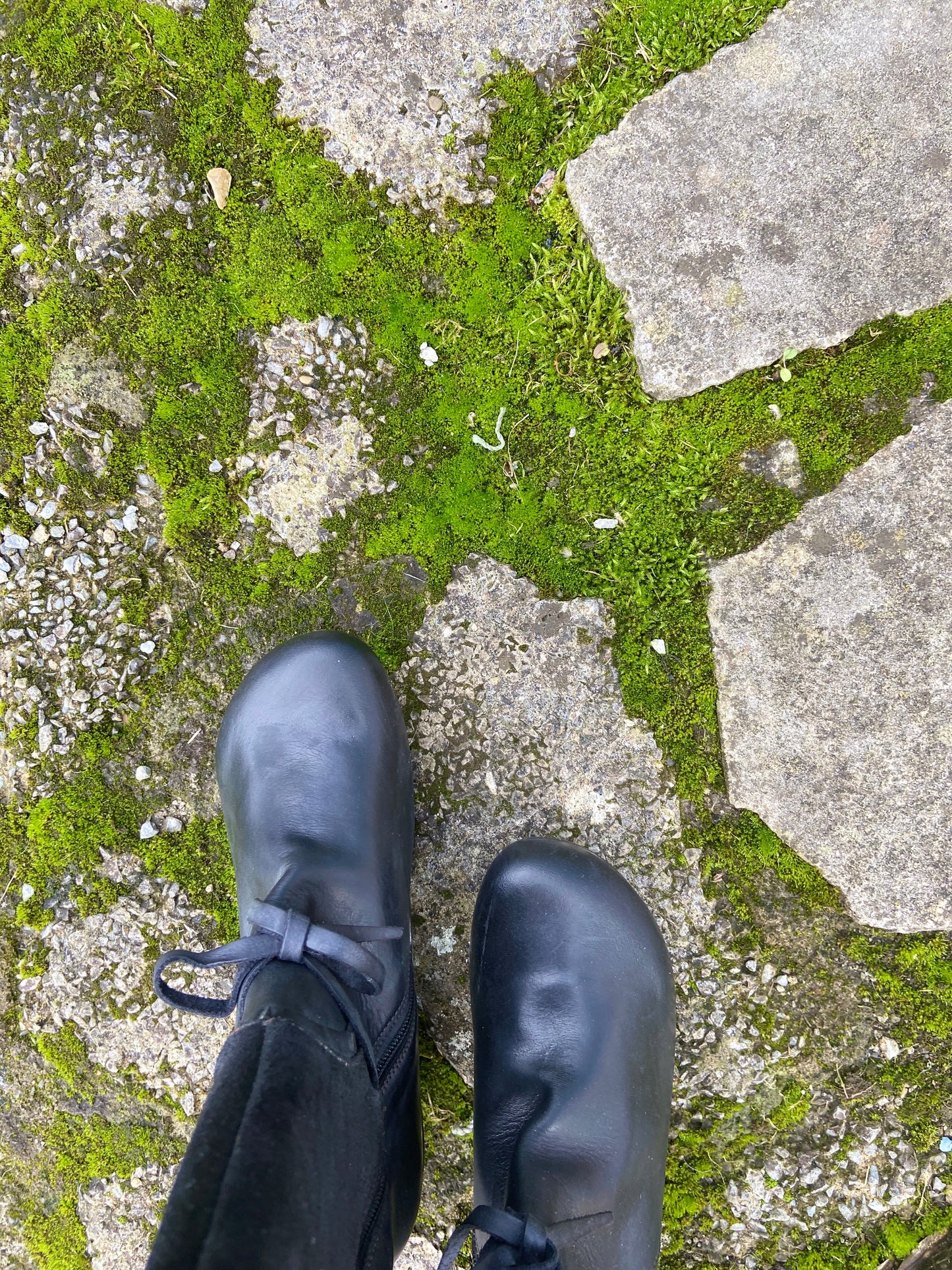 Quake - Black - Wide calf - Last pair 37 - Chanii B