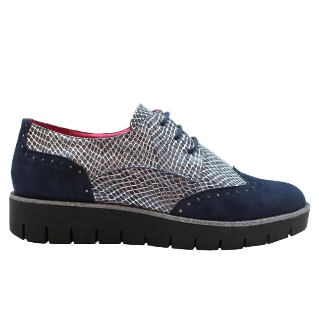 Bolt - Navy blue suede lace up shoe- Last pairs 36 and 38