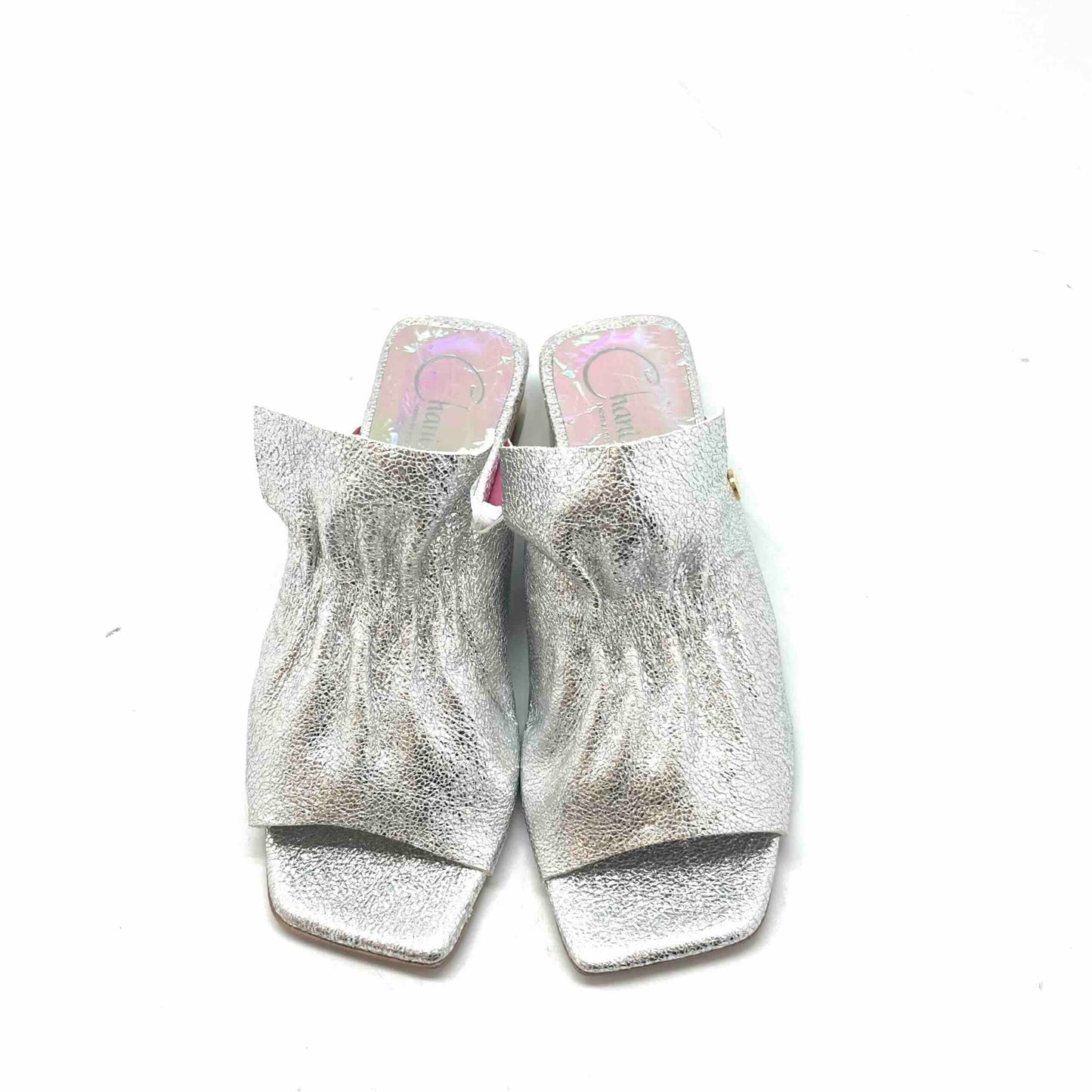 Fizzy-Silver slide - Chanii B