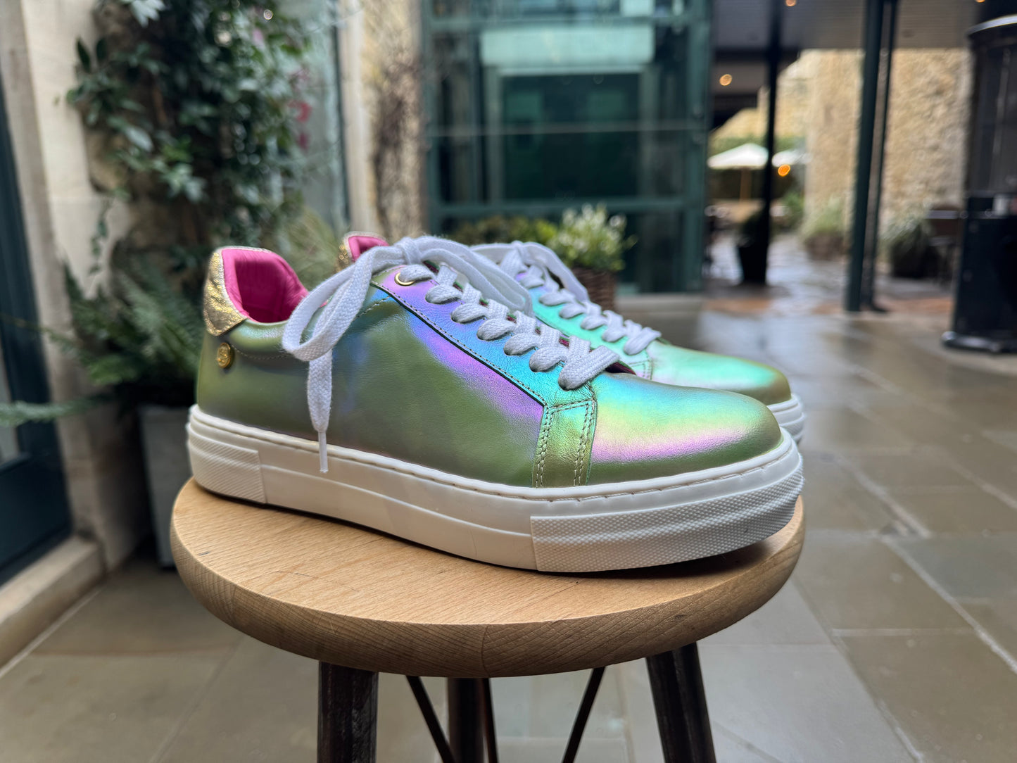 Figaro-Iridescent green sneaker