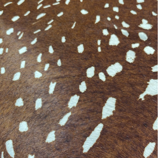 Taille -Deer cowhide navy- Pre order