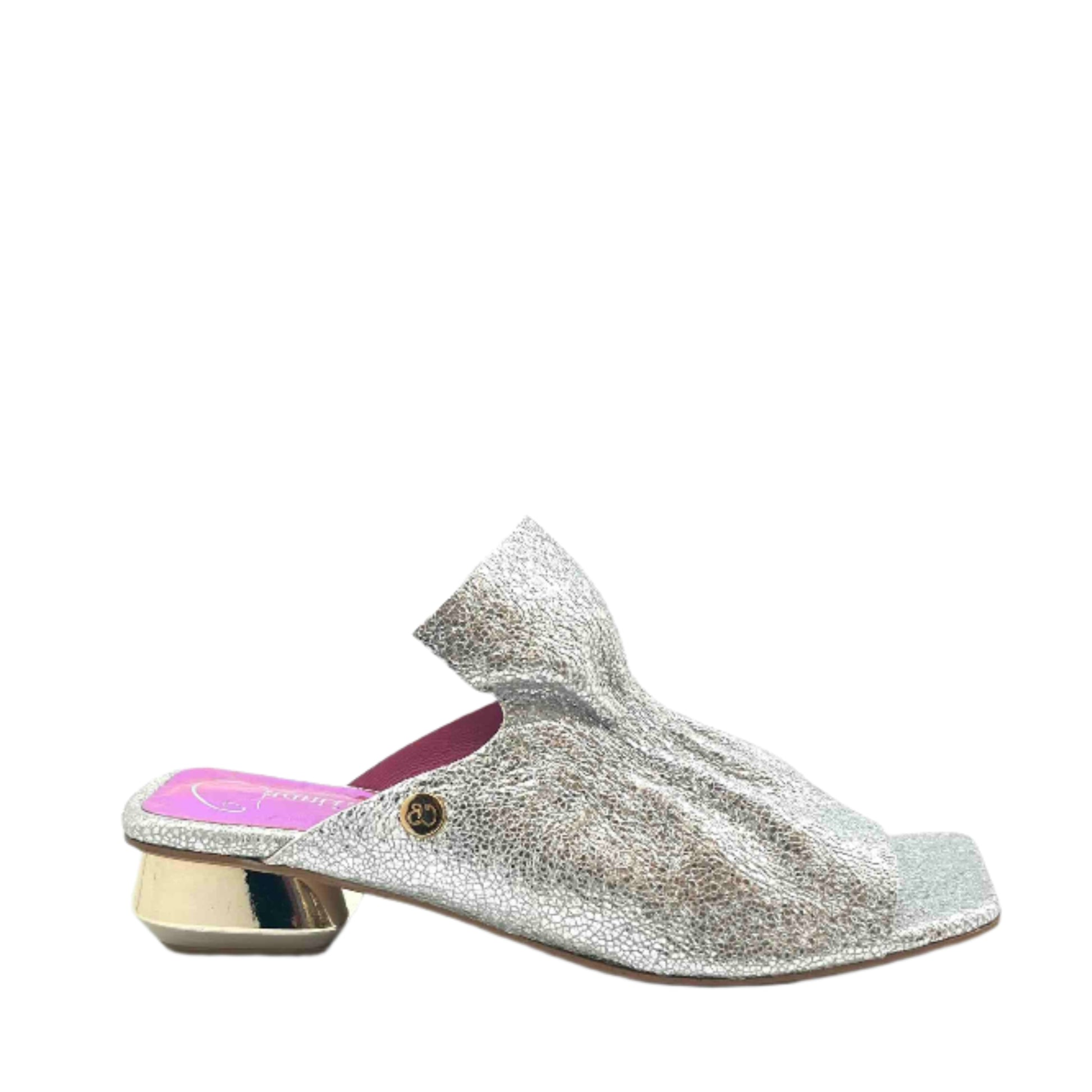 Fizzy-Silver slide - Chanii B