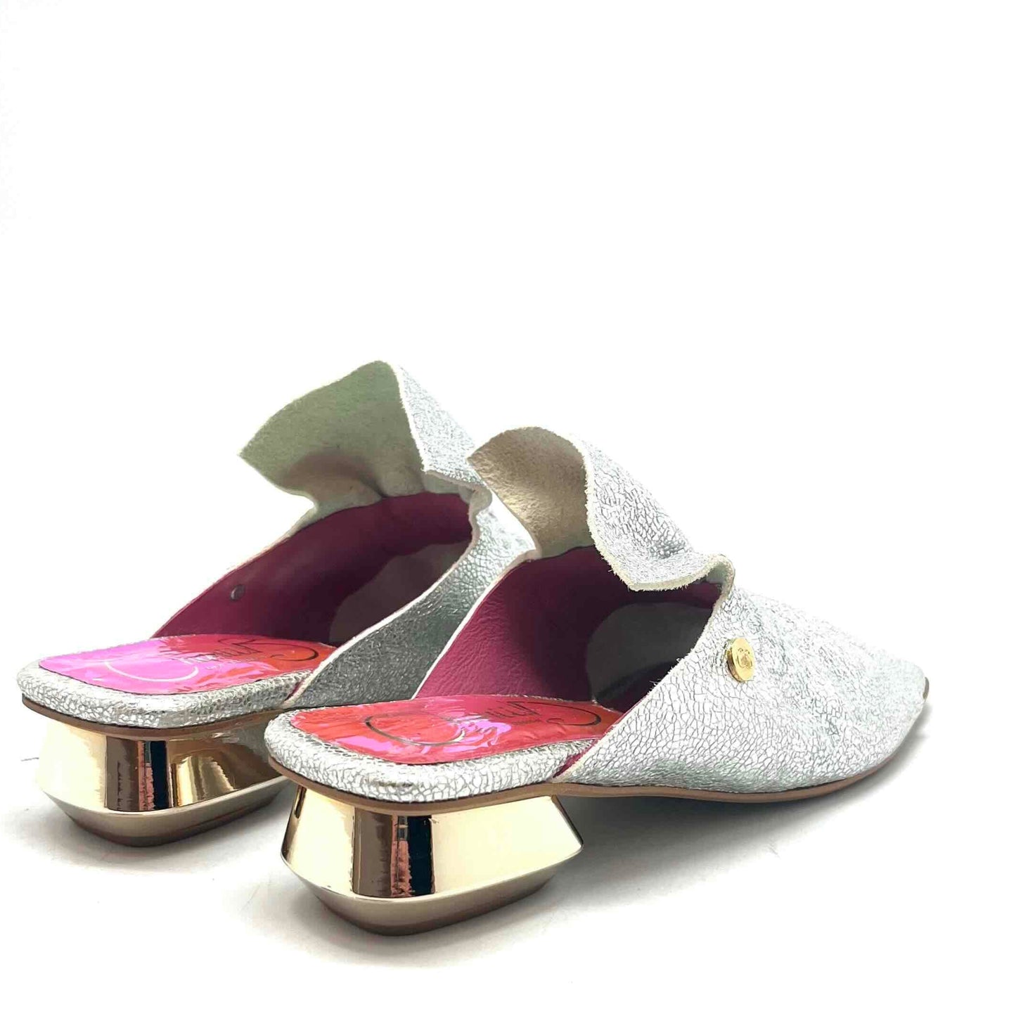 Fizzy-Silver slide - Chanii B