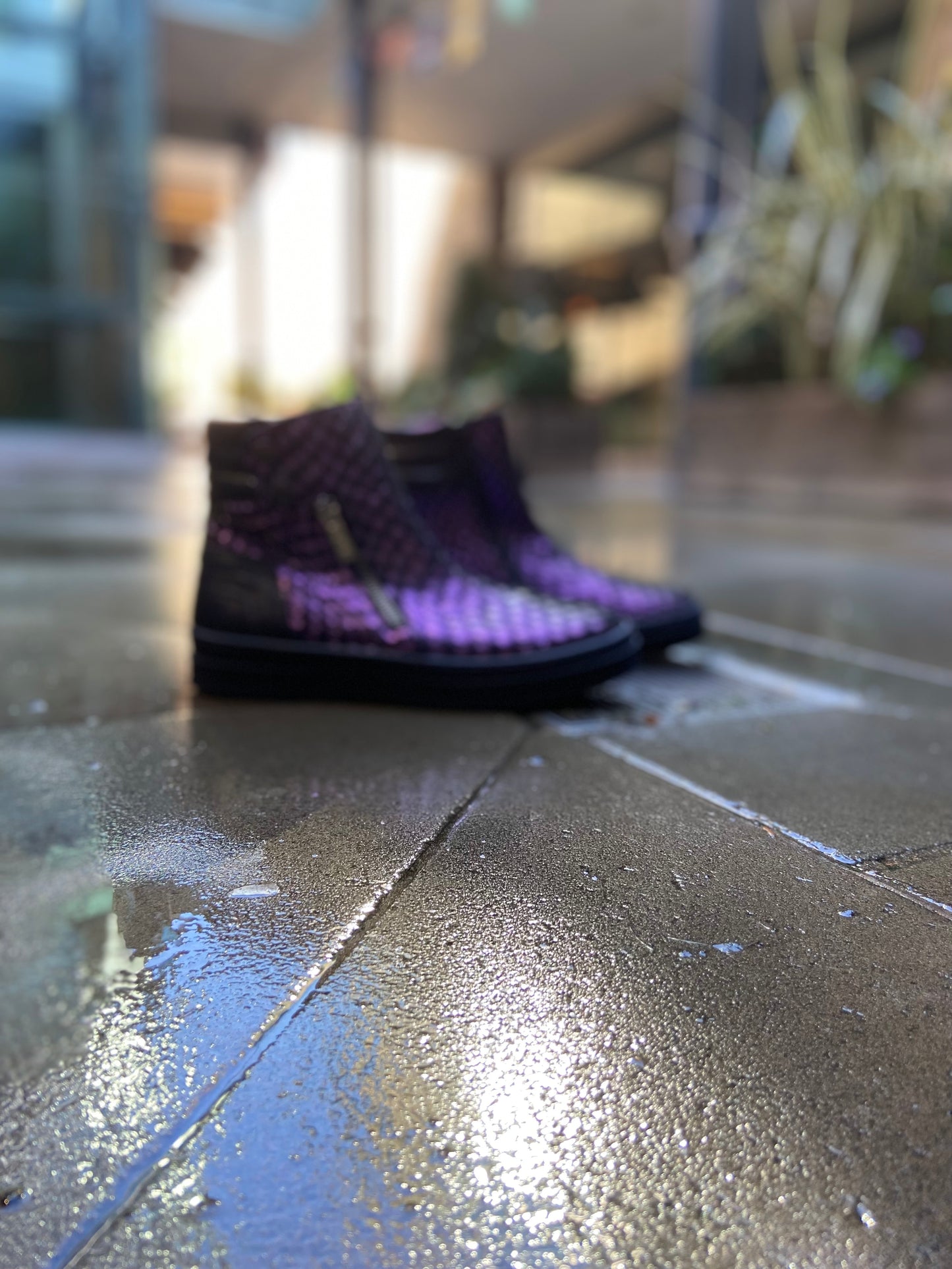 Chat -purple toxic croc ankle boot- Last pairs 38 & 39!